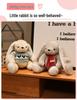 Easter Bunny Plush Toy: Long-Eared Chubby Rabbit Doll for Kids