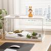 Clear Desktop Fish Tank with Turtle Platform