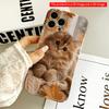 2DFlat Cozy Kitten by Autumn Window All Inclusive Film Hard iPhone Case, Compatible with iPhone 18 Pro Max 17 16 15 14 13 12 11