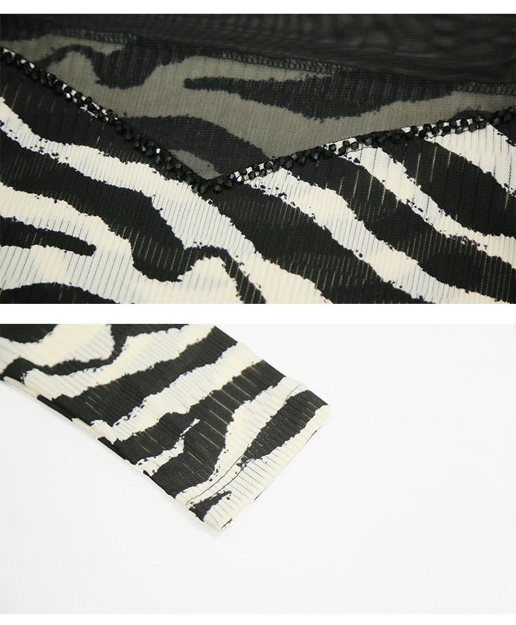 2024 Autumn Women's Slimming Mesh Print Long Sleeve Shirt
