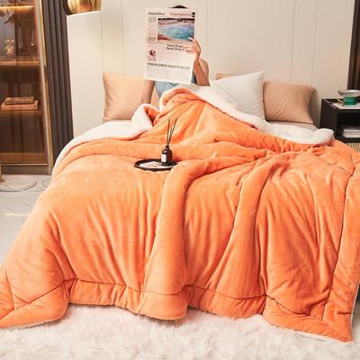 Double-Layer Thick Lamb Wool Blanket for Dorm or Leisure Naps
