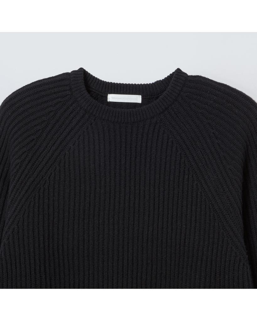WORTHWHILE MOVEMENT Yak Blended Ribbed Sweater (Black)