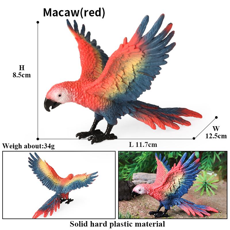 Oenux Bird Forest Animal Parrot Macaw Cockatiel Cockatoo Agapornis Puffin Model Solid PVC Garden Decoration Education Kids Toy