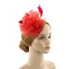 Floral Details Feather Fascinators Mesh with Hair Clip Mesh Flower Headwear Tea Party Cocktail Headband Horse Racing