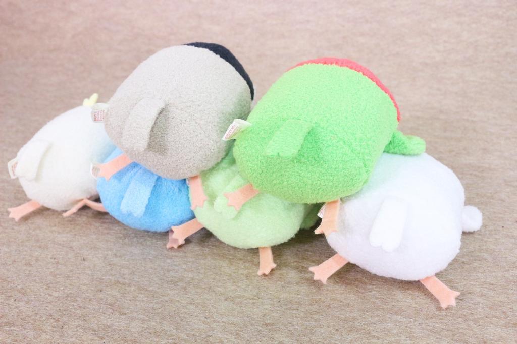 Shinada on top Mame Fuku cockatiel