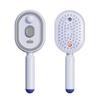 Electric Steam Hair Brush with Water Spray Reduce Frizz Anti-Static Misting Hairbrush Portable Travel Cordless Fluffy Hair Detangling Brush
