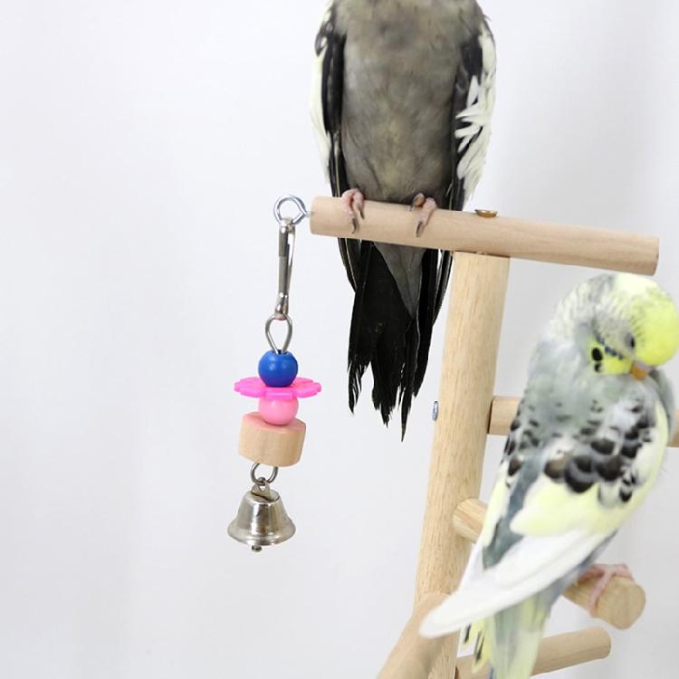 Vogelstange Sitzstange Papageien Spielständer Übungs Spielgymnastik mit Futterspender Übungs Aktivitätszentrum für Conure Nymphensittich Wellensittich