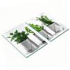 Stylish and Durable Glass Boards with Aromatic Plants Print 2X40X52 Cm
