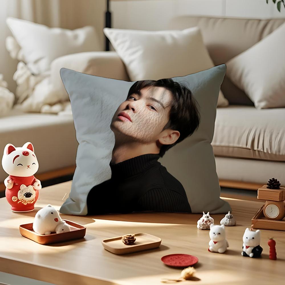 Singer Cha E-Eun W-Woo Cushion Cover Silky Short Plush With Invisible Zipper Dustproof Sofa Pillow Cover For Home Decor