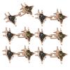 Crossed Star Waist Tightening Clip Metal Adjustable Antiexposed for Loose Pants and Jeans Fitness Waist Extenders 3/6Set