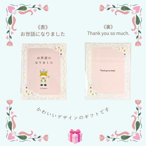 Small Gift for Retirement, Thank You Gift, 2-Pack Individually Wrapped Megurism with Message, Greeting Gift, Thank You Gift for Women (12)
