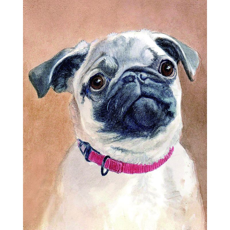5D Diamond Painting Dog Cross Stitch სრული მრგვალი ბრილიანტის ნაქარგები მოზაიკა ცხოველთა ხელნაკეთი Rhinestone სახლის დეკორი