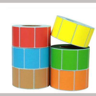 Papier – Rouleaux de papier