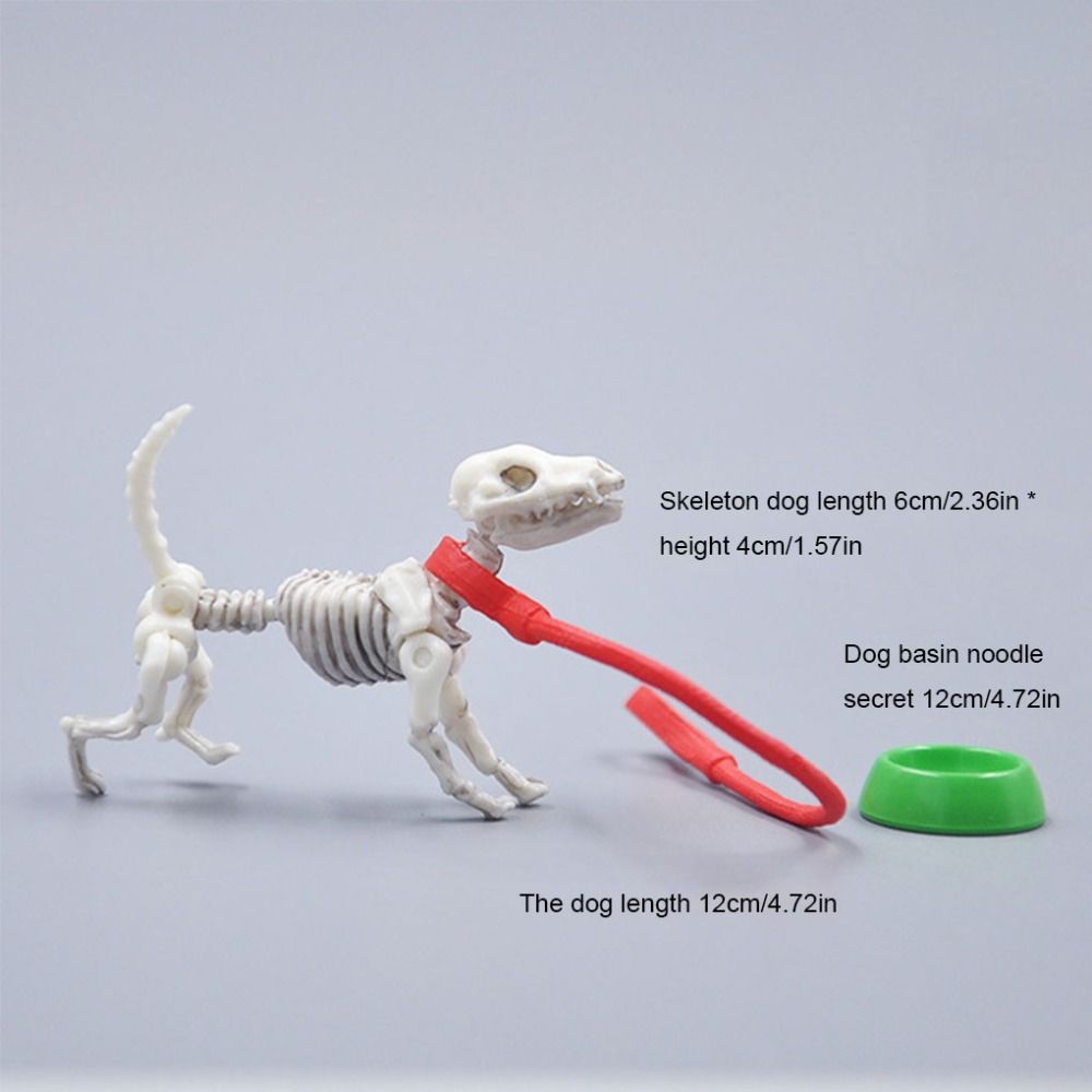 Movable Mr Bones Skeleton Play Scene Dollhouse Furniture Skeleton Human Model  Kids Toys