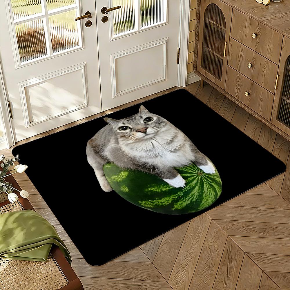 Cool Silly Cat Meme Floor Mat Soft Thickened Absorbent Non-Slip Bedroom Living Room Door Mat Home Decor Flannel Rugs