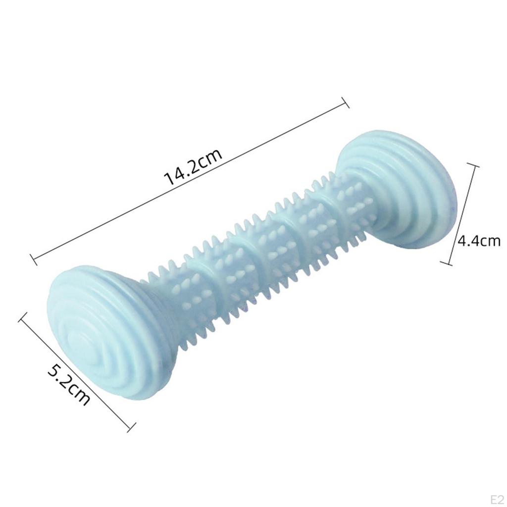 , Interactive Toys, Aggressive Puppy Chews, Molars, Pet Accessories