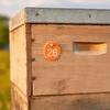 50Pcs Round Shape Beehive Markers Numbered 1-50 Apiary Labels Breeding Mark Labels  Apiary Use