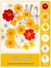 Handmade Transparent Bottle Embossing Film for Spring Plant Specimen Bookmarks
