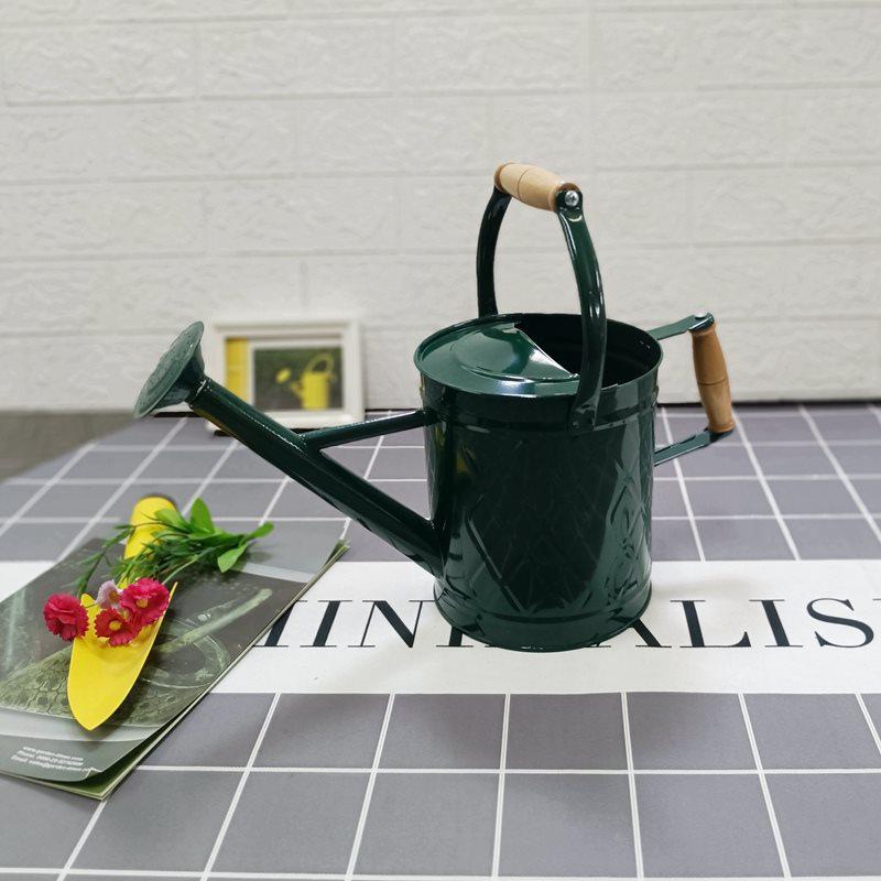 Large-Capacity Dual-Use Iron Watering Can: Ideal for Home Flower Care, Vegetable Planting, and Gardening Spraying.