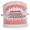 Gold-Plated Skull Hip Hop Grillz - Trendy Halloween Cosplay Tooth Decor