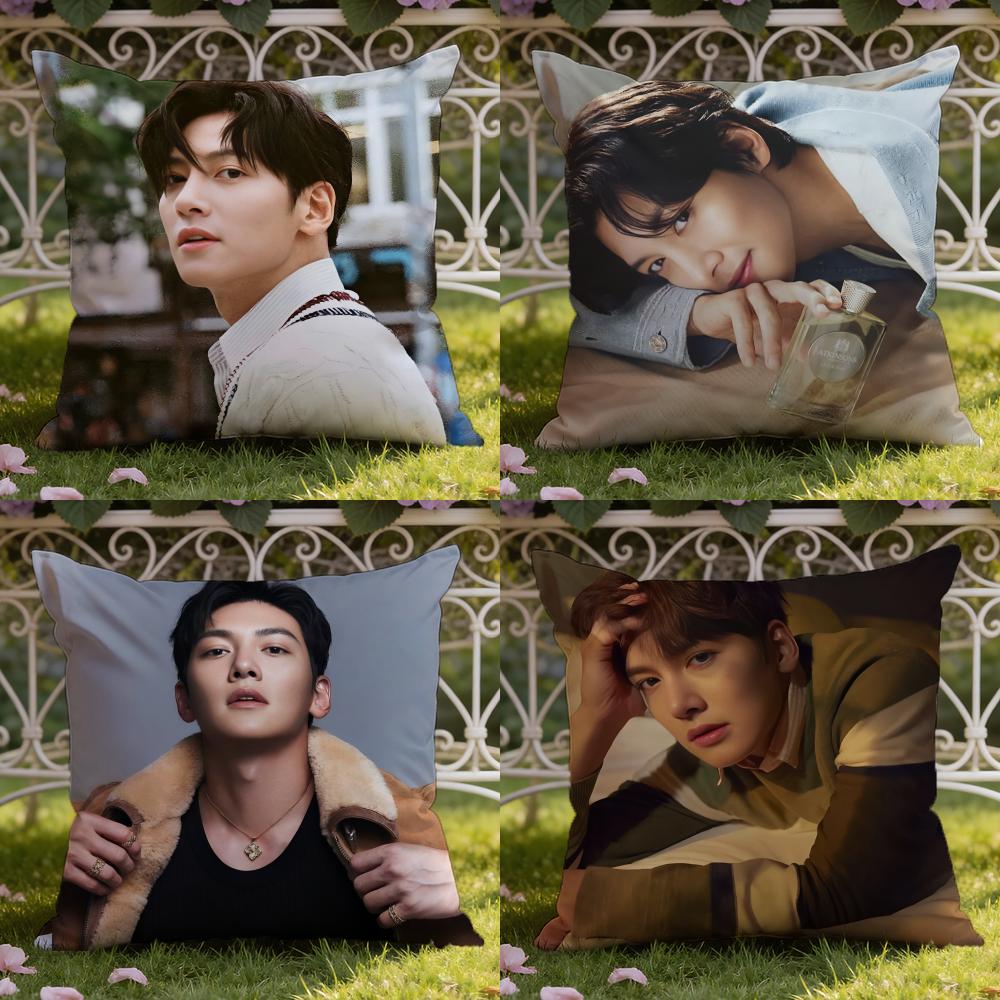 Ji C-Chang W-Wook Cushion Cover Home & Car Dual-Scene Pillow Cover: Reversible for Premium Comfort