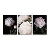 Peony Flower Canvas Poster Nordic Pink White Floral Botanical Print Wall Art Painting Scandinavian Decoration Picture Room Decor