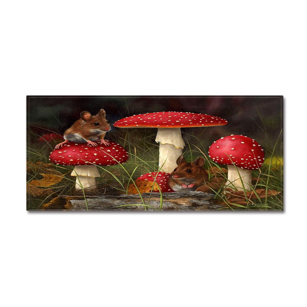 Fresh Entrance Door Mat Bathroom Absorbent Floor Mat Bedroom Living Room Bedside Blanket Carpet