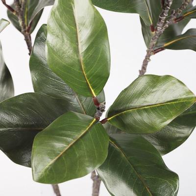 Large Artificial Magnolia Plant Rubber Leaves Handmade Simulated Magnolia Tree Branch 2 Forks 110cm Artificial Plants Office