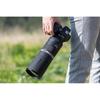 Canon RF80011ISSTM Telephoto Lens RF800mm F11 IS STM Full Size Compatible