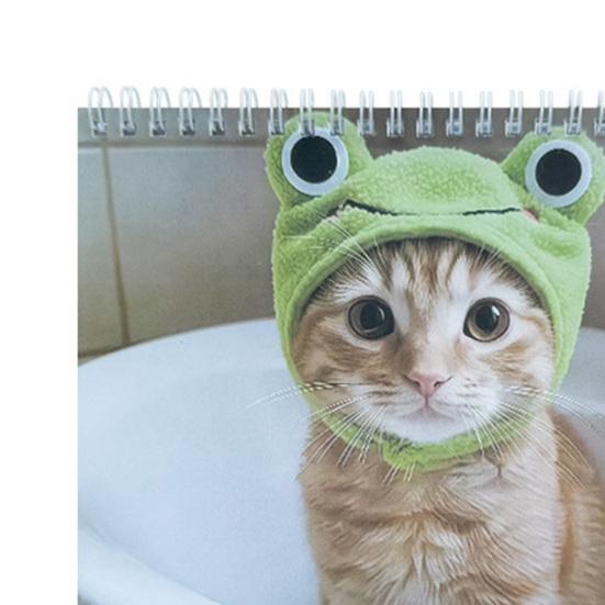 Unreasonable Cat Calendar 2026 Jan.2026 - Dec.2026 12-Month Calendar Funny Kitten Wall Planner for Home Office Decoration