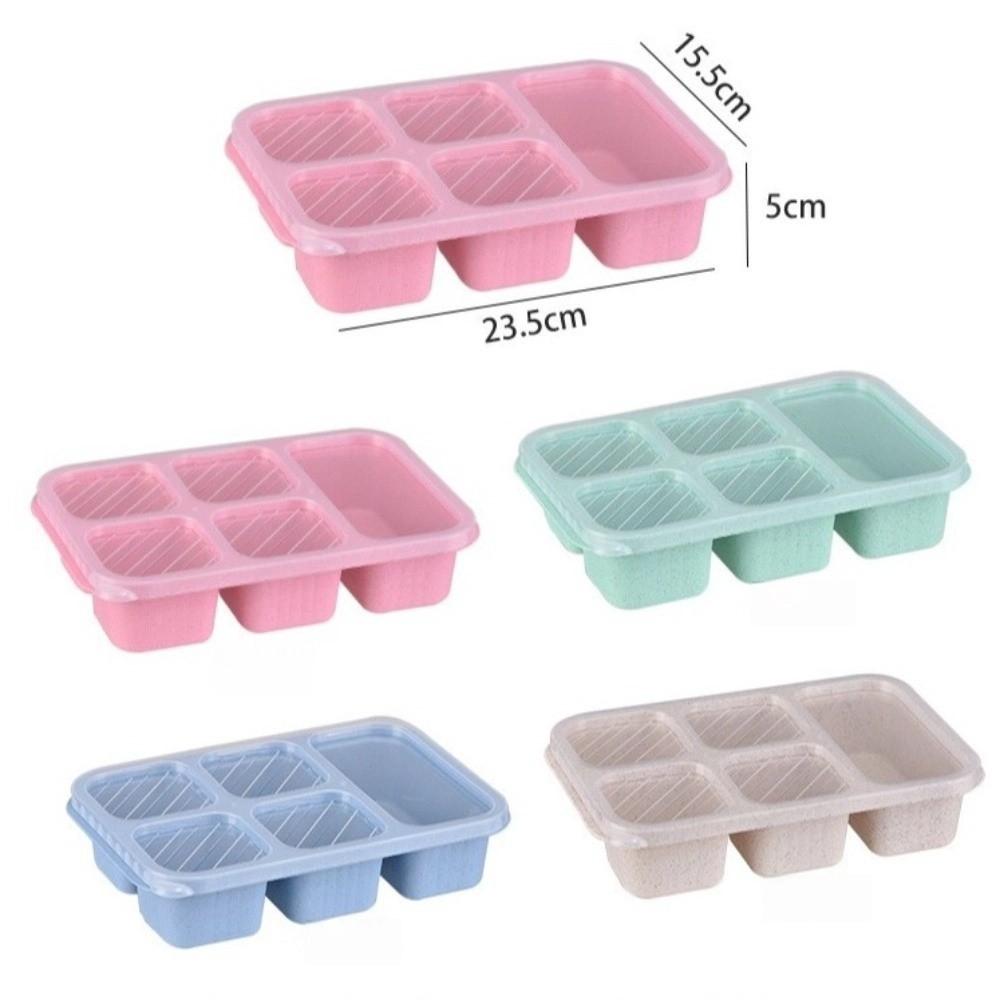 New 5 Compartments Serving Tray with Lid Fresh-keeping Wheat Straw Lunch Box Leak-Proof Food Storage Box Lunch Carrying