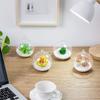 Simple Glass Transparent Hanging Vase Creative 6/8/10/12/15cm Succulents Plant Ball Container Flower Pot Home Decoration
