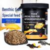 Yeeb Alien Sinking Fish Food for Suckerfish, Queen, Sailfin Pleco, and Panda Fish