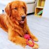 Dog Toy Cotton Ropes Woven Knot Dogs Toy Bite-resistant Knot Rope Toys for Dog Teeth Grinding Chew Proof Toys for Puppy Training