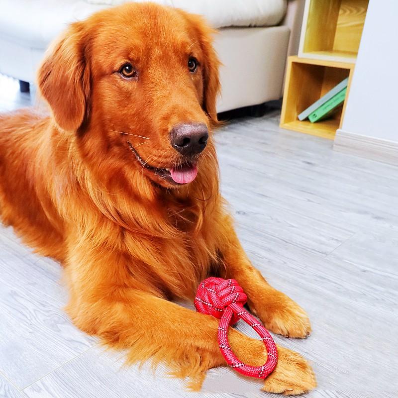 Dog Toy Cotton Ropes Woven Knot Dogs Toy Bite-resistant Knot Rope Toys for Dog Teeth Grinding Chew Proof Toys for Puppy Training