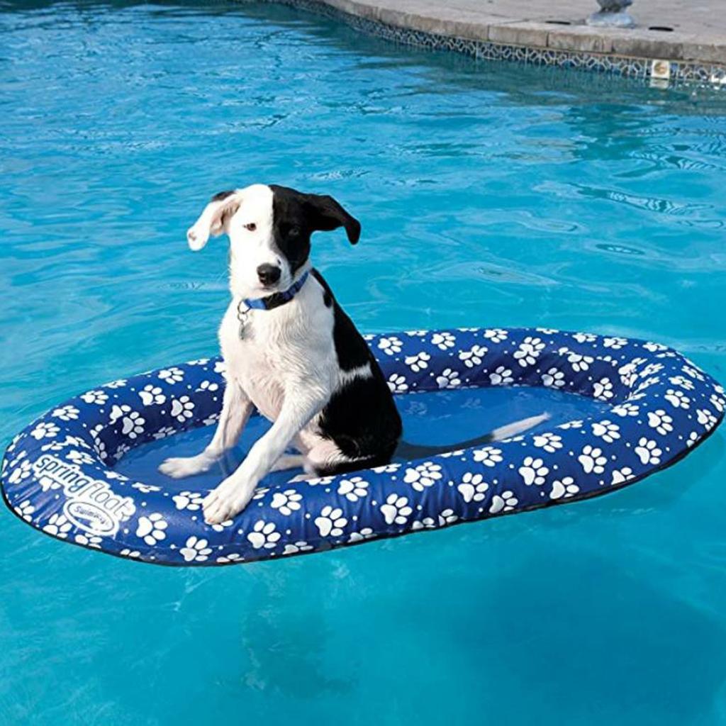 dog swimming flotation devices