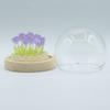 Floral Glow Garden Dome – 20 Tulips – LED USB