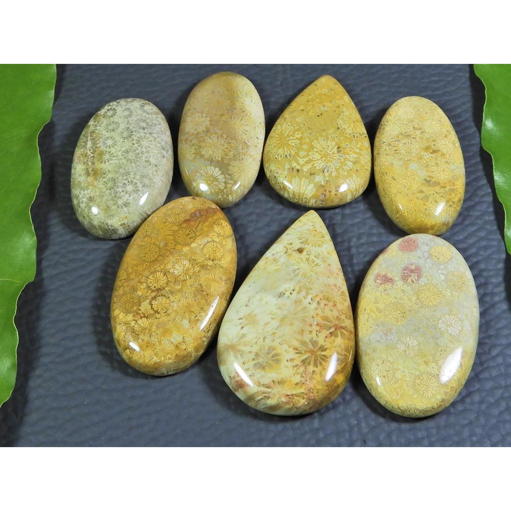 233Cts. Natural Fossil Coral Mix Cabochon Loose Gemstone 7 Pcs Lot A-562