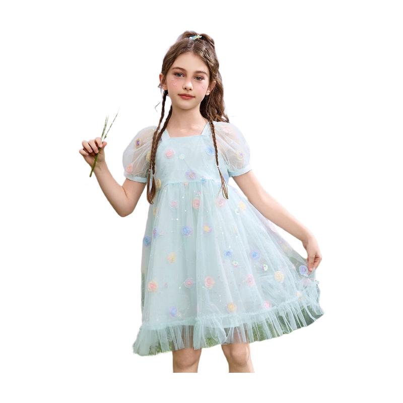 ASK JUNIOR Girls  Princess Mesh Performance Dress 160
