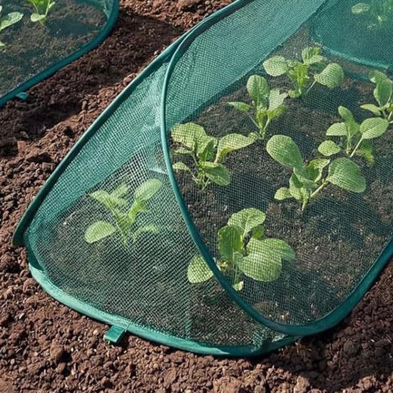 Pop Up Plant Cover Garden Mesh Seedlings Protector with Ground Stakes Garden Row Raised Bed Cover for Vegetables Fruits Herbs from Insects Birds