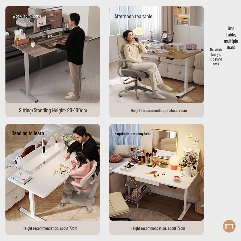 Loctek ES2 Dual Motor Electric Standing Desk Frame