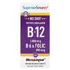 Superior Source Methylcobalamin B-12, B-6 & Folic Acid Instant Dissolve MicroLingual Tablets, 60 Count