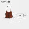 Coach Rowan Small Shoulder Crossbody Bag
