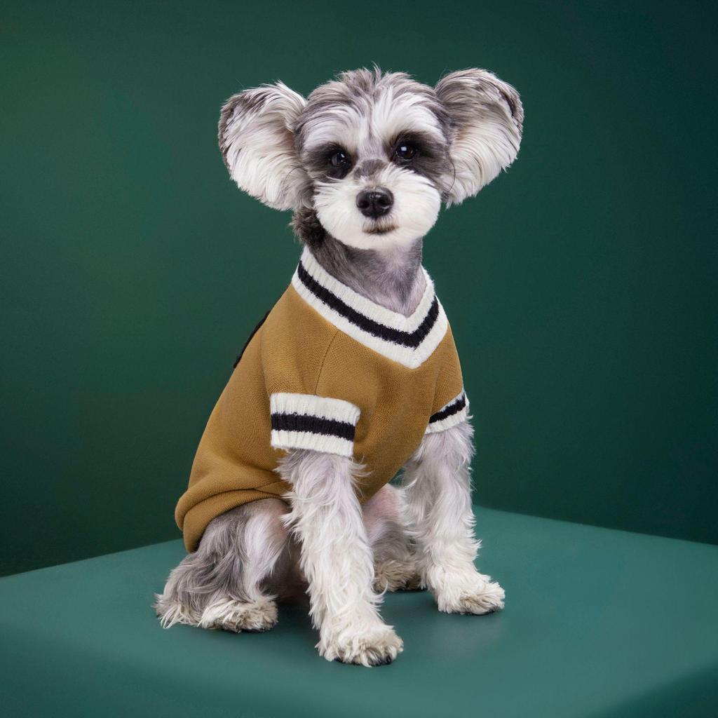 Autumn/Winter Knitted V-neck Vest for Teddy & Pomeranian Dogs - Cute College Style