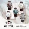 Orient Bambino 38 Automatik-Uhr Grau Herren Limited Edition RN-BB0006N