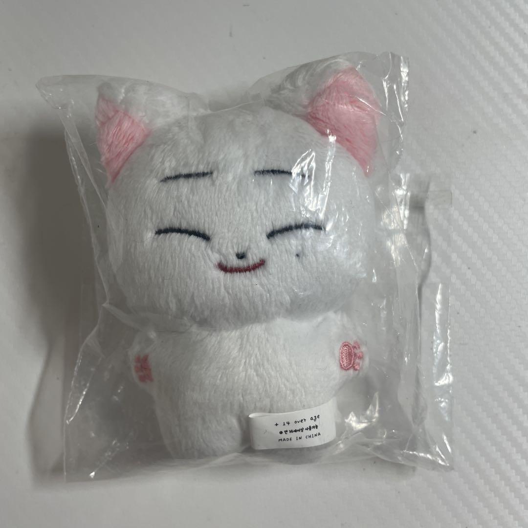 

[USED] enhypen sunwoo doll