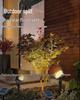 Waterproof Solar Tree Spotlight for Outdoor Courtyard and Garden
