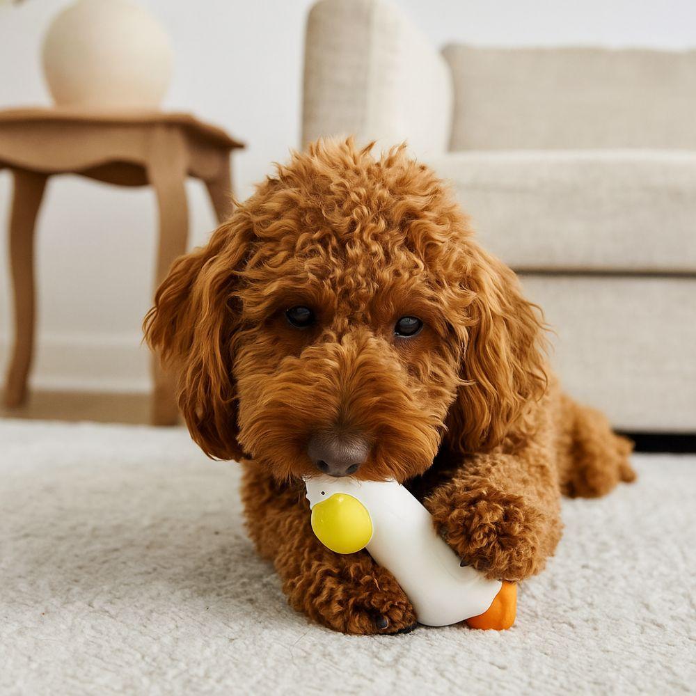 Cartoon Pet Latex Toys Pelican Shape Squeaky Dog Toys Funny Teeth Grinding Toys  for Cats and Dogs