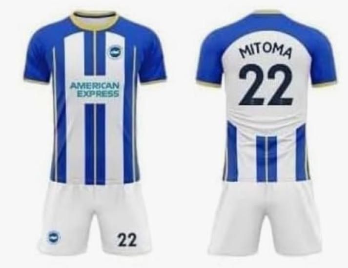 Mitoma Kaoru Brighton Soccer Uniform Japan National Team Home Uniform Number 22 Replica Soccer Uniform for Children Junior Tokix Original Product (L,