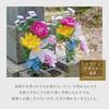 Aimedia Artificial Flowers for Graves and Buddhist Altars - Set of 2 Bundles, 45cm Tall, No Watering Required, Designed by a Floral Designer